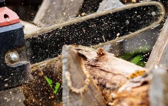 Limbah Serbuk Gergaji Disulap Jadi Biomasa