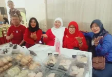 UMKM Jadi Tulang Punggung Ekonomi Sumsel 2026
