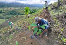 Inilah Komponen Subsektor yang Menaikan NTP Gorontalo