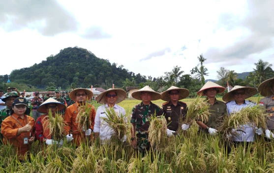 Dari Sawah Samalantan, Bengkayang Capai Swasembada Pangan