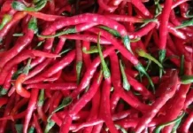 Cek Harga Cabe Di Pasar Wamanggu Merauke