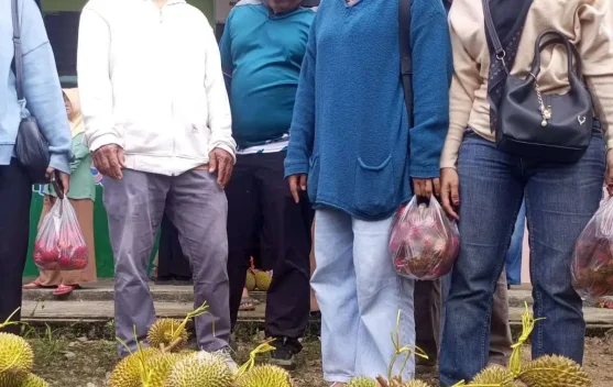 Pesta Buah Perdana Bunguran Timur Laut Meriah