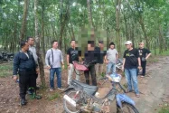 Polres Lampung Timur Grebek Judi Sabung Ayam