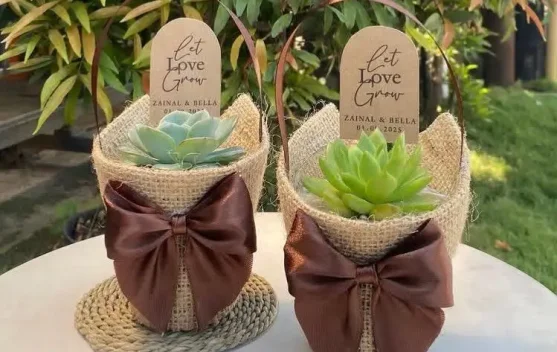 Souvenir Kaktus Mulai Digandrungi Anak Muda di Kediri