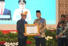 Wako Dumai Paisal Terima Penghargaan BKN RI