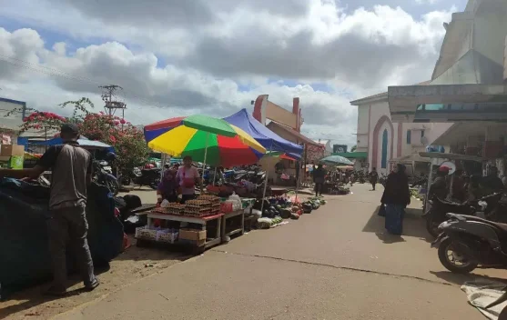 Segini Harga Bapok Hasil Pertanian Di  Merauke (Rabu,14/01/2026)