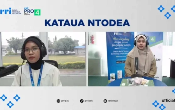 Soft Cookies Premium Bidik Pasar Palu