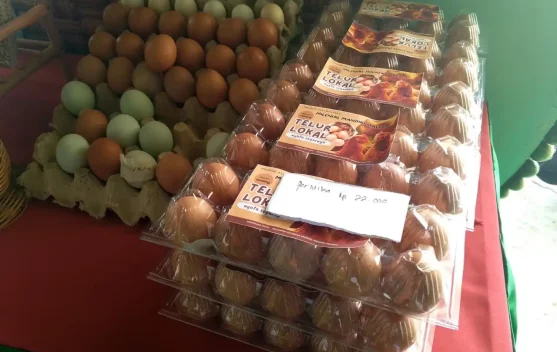 Anggaran Desa Menyusut, Desa Diminta Mandiri Tingkatkan PAD