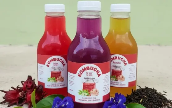 Kombucha, Minuman Fermentasi Teh Kaya Manfaat