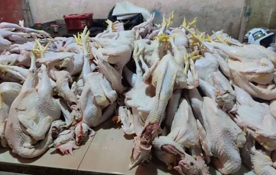 Cek Informasi Harga Daging Ayam Di Pasar Wamanggu 
