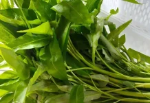 Jejak Masuknya Kangkung ke Indonesia