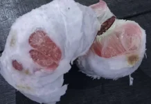 Manfaat Jeruk Bali untuk Kesehatan