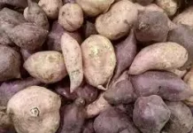 Makanan Pengganti Nasi yang Baik bagi Tubuh