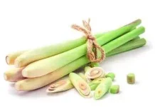 Manfaat Sereh Untuk Kesehatan Laki-Laki