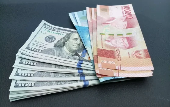 Dikala Indonesia Pernah Menaklukkan Dolar di Level Rp6.000