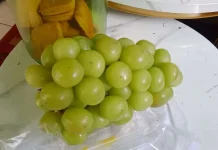 Fakta Anggur Hijau dari Dunia Kesehatan Hingga Kecantikan