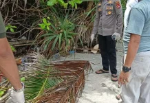 Mayat Misterius Ditemukan di Pantai Pandanan Lombok Utara