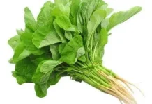 Waspada Makanan Pemicu Batu Ginjal Anak