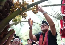 North Lombok Dates Integrated Into National Hajj Ecosystem