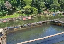 South Kalimantan Pushes Legalization for Riam Kanan Fishers