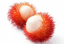 Beragam Manfaat Rambutan untuk Ibu Hamil