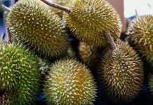 Nikmat namun Berisiko, Ini Batas Aman Makan Durian
