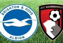 Brighton Jamu Bournemouth di Liga Inggris, Selasa Dini Hari
