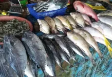 Kolesterol Tinggi, Pilih Ikan Laut atau Tawar