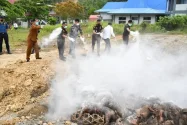 LANAL Nias Musnahkan 227 Ternak Media Pembawa HPHK