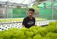 Zaki Petani Muda Purbalingga, Ubah Stigma Pertanian Konvensional