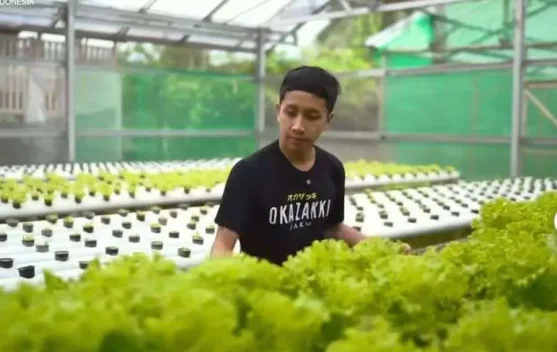 Zaki Petani Muda Purbalingga, Ubah Stigma Pertanian Konvensional