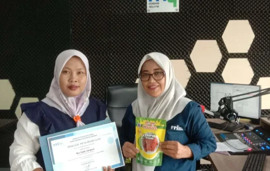 Usaha Aneka Rasa Kripik