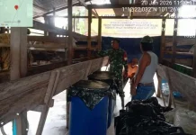 Babinsa Pantau PMK Hewan Ternak Talang Muandau