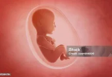 Cara Menambah Berat Badan Janin Secara Cepat 