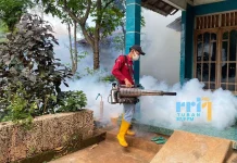 Sepanjang 2025, Dinkes Tuban Catat 880 Kasus DBD 