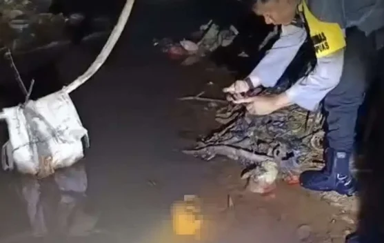 Pelaku Pembuangan Bayi di Sungai Riam Terungkap