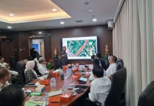 Bupati Kapuas Kejar Dukungan Pusat Genjot Produksi Padi