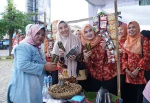 Pemkab Tubaba Gelar Pentas Seni dan Pameran UMKM